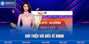 Giới thiệu vài điều về BIN88